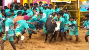 பாலமேடு ஜல்லிக்கட்டு – 5வது சுற்று முடிவில் 26 பேர் காயம், 4 பேர் இறுதிச்சுற்றுக்கு தகுதி!